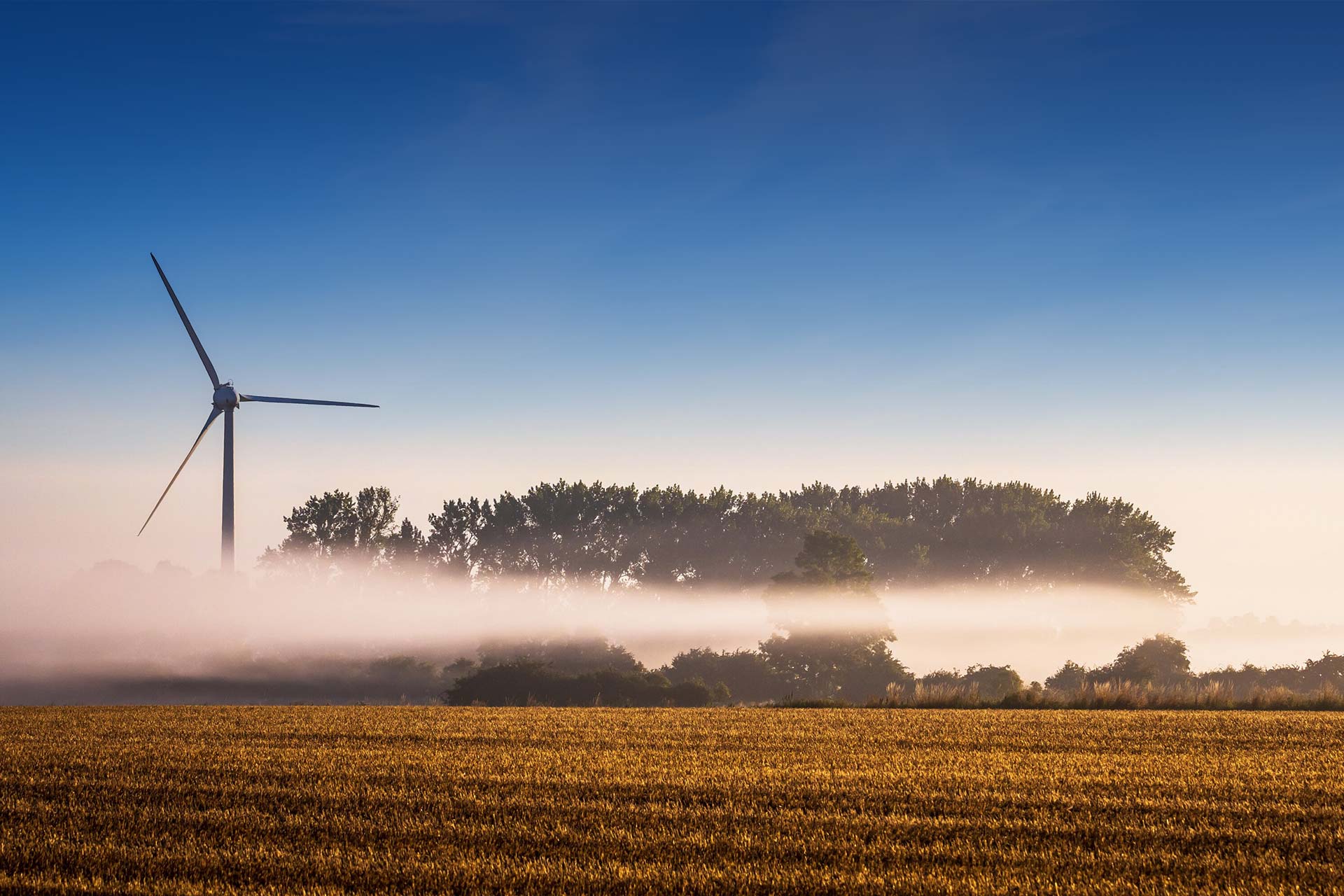 Windkraft Neukirchen
